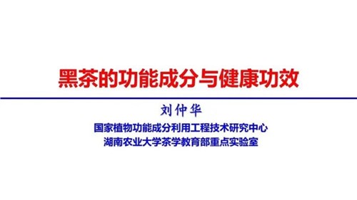 茶的功能成分與健康功效 | 茶、飲茶與健康