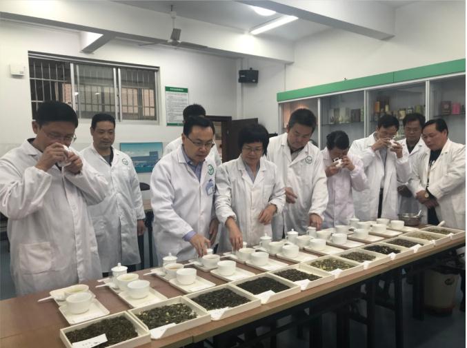 瀟湘茶業(yè)開展花茶審評和座談會，劉仲華院士等專家共謀花茶產業(yè)發(fā)展