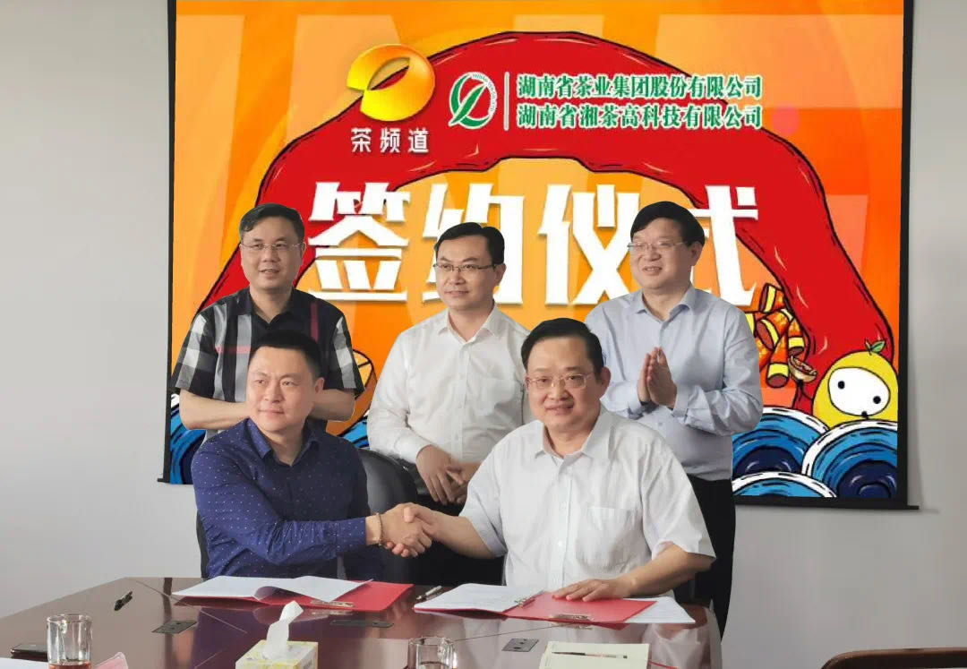 院士見證，輕輕茶發(fā)力品牌建設，與茶頻道達成深度合作