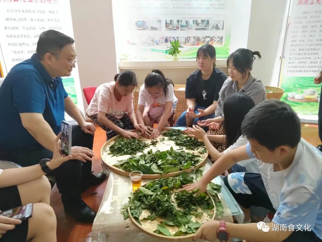 原載人民日?qǐng)?bào)“人民視點(diǎn)”茶葉是怎樣做出來(lái)的？湖南大、中、小學(xué)生體驗(yàn)湖南工夫紅茶制作